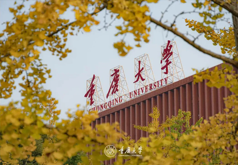 重庆大学
